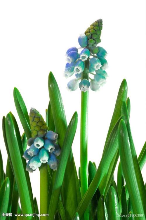 ŷ»׼202111ʱִӢŷЭ