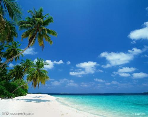 ȫȷ79232555 ֱ¹ڲȾ